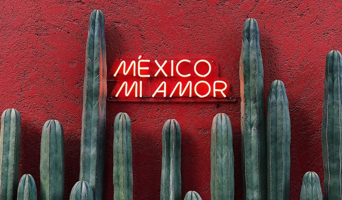 Departamentos en renta: Cómo encontrar uno en México